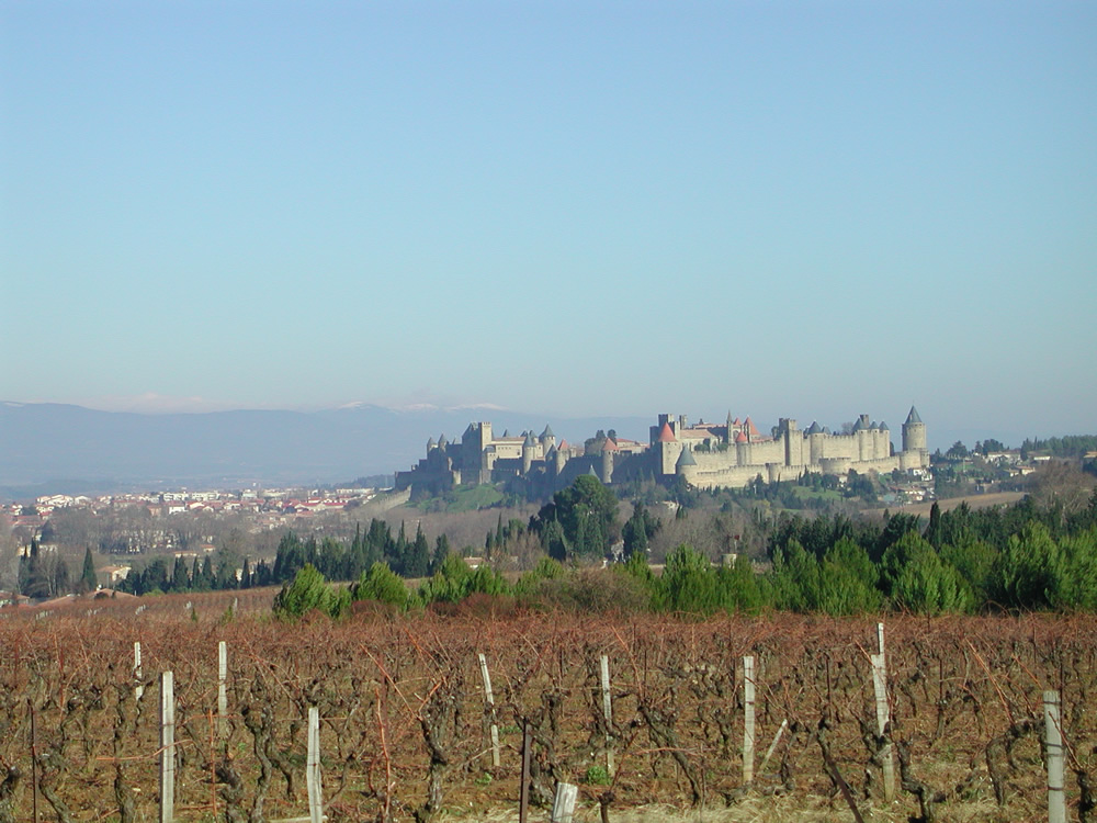 Regional Picture - Languedoc