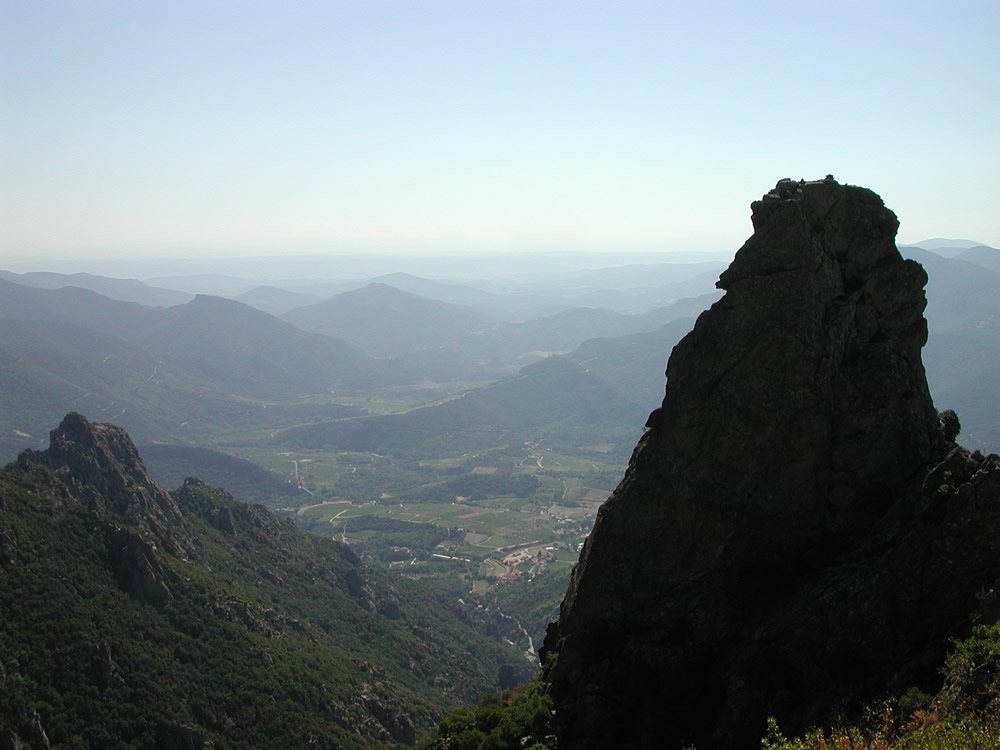 Regional Picture - Languedoc