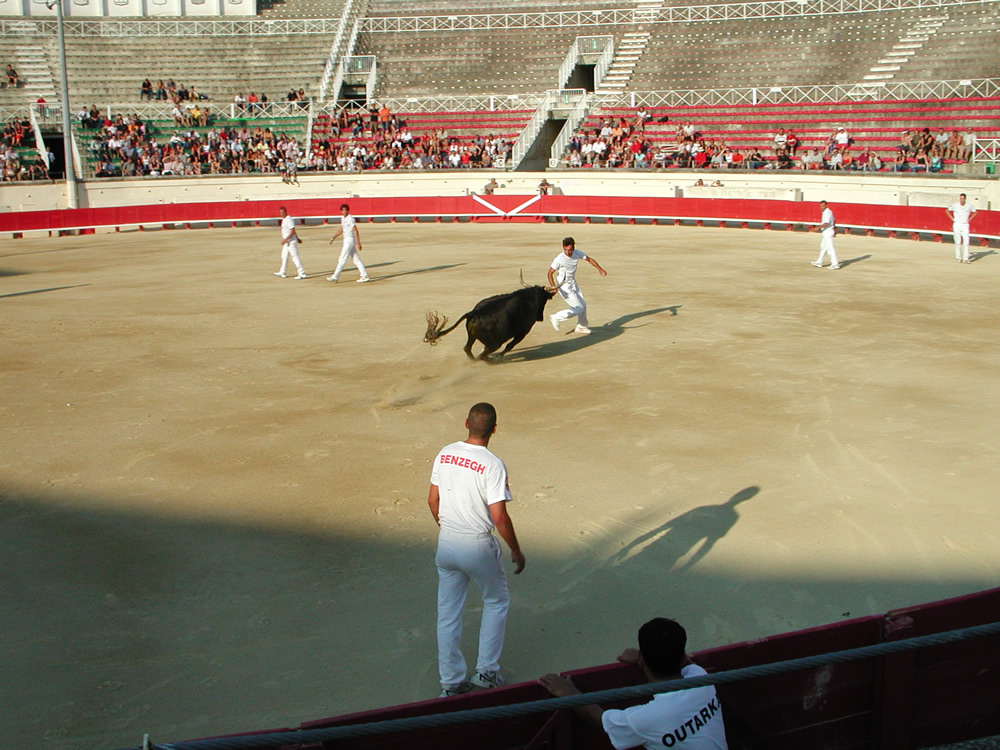 Regional Picture - Languedoc