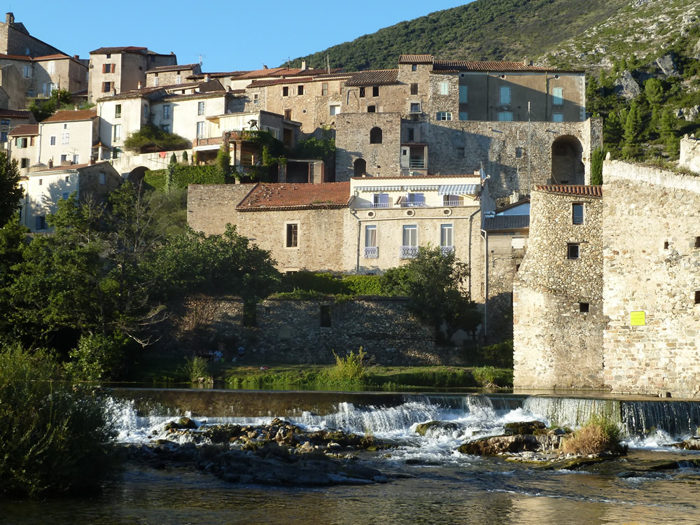 Regional Picture - Languedoc